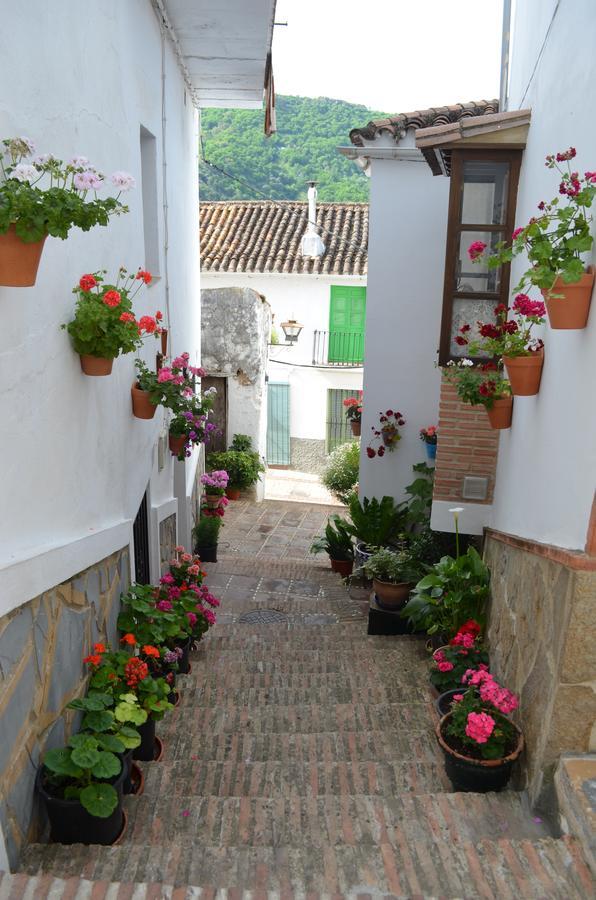 Casa La Puente Vila Jubrique Exterior foto